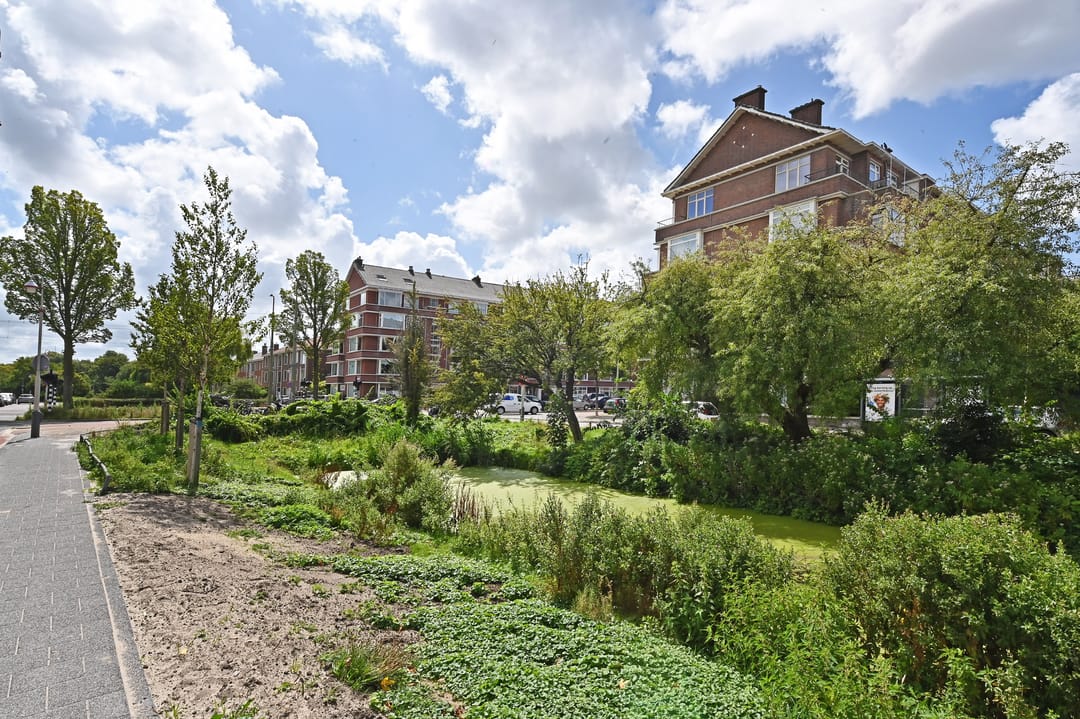 Foto 43 van Laan van Meerdervoort 1415