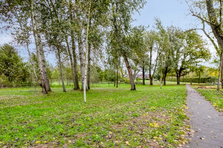 Photo 4 of Goudbergstraat 34