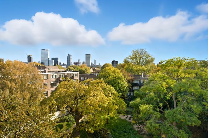 Foto 40 van Stadhoudersweg 116-C