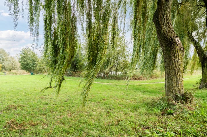 Photo 78 of Jacob Vrijstraat 9