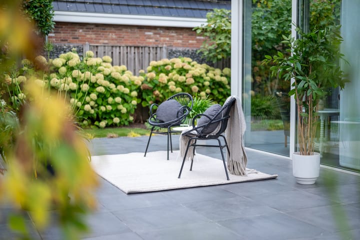 Foto 6 van Kramsvogel 22