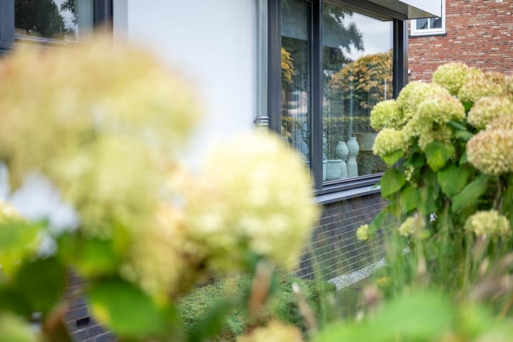 Foto 43 van Kramsvogel 22