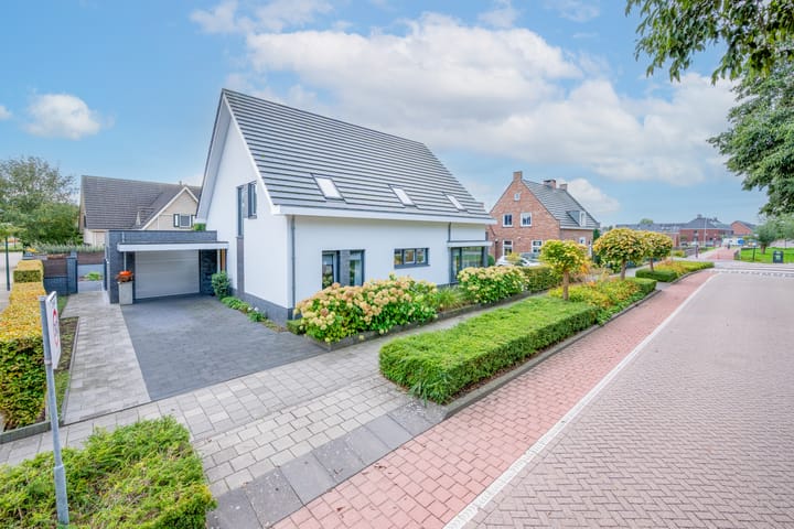 Foto 46 van Kramsvogel 22