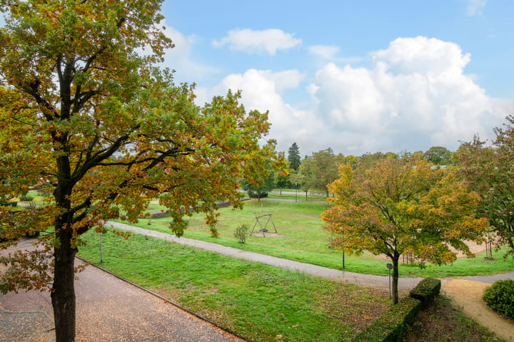 Photo 11 of Oscar Carréstraat 33