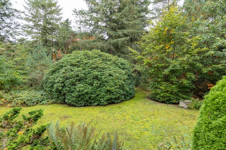 Foto 36 van Mesdaglaan 5