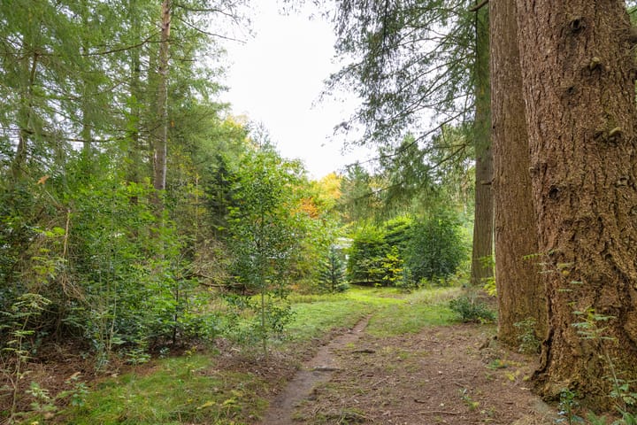 Foto 43 van Mesdaglaan 5