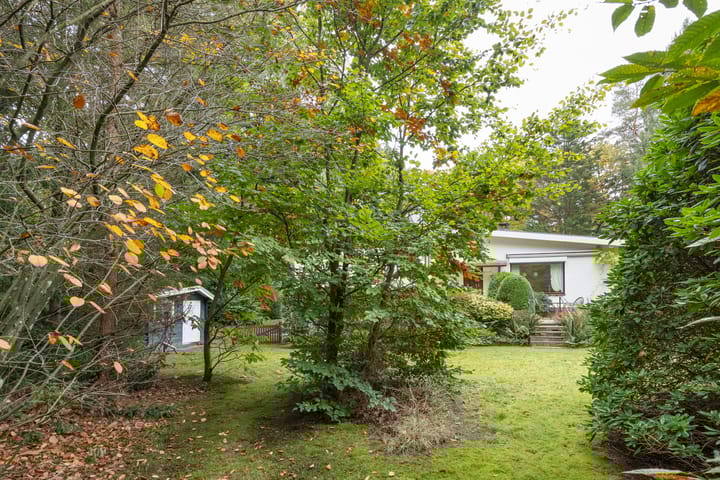 Foto 44 van Mesdaglaan 5