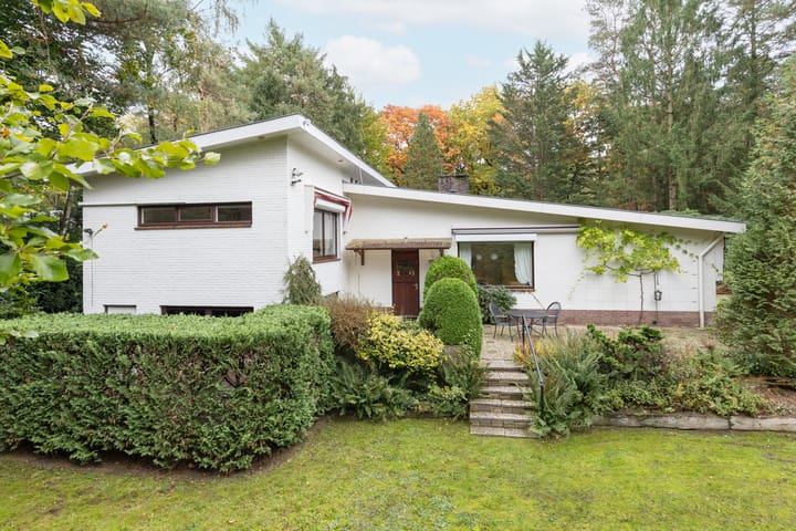 Foto 46 van Mesdaglaan 5