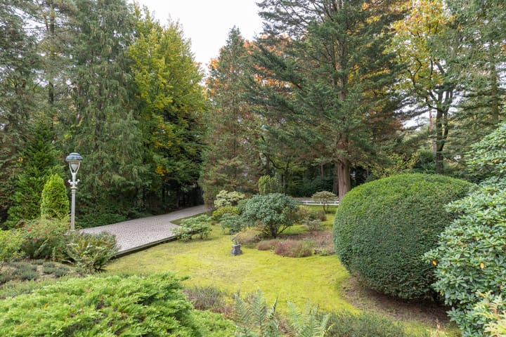 Foto 50 van Mesdaglaan 5