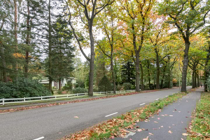 Foto 52 van Mesdaglaan 5