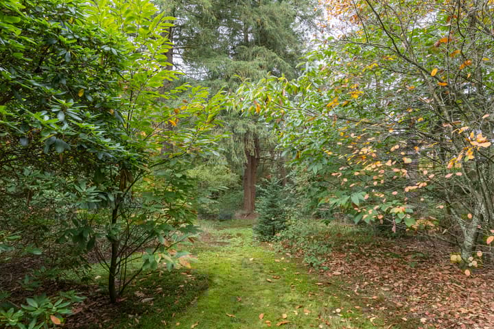 Foto 42 van Mesdaglaan 5