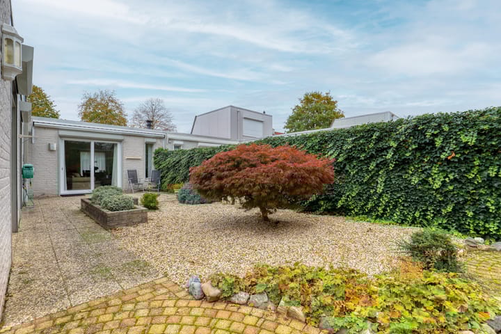 Foto 25 van de Weertjes 1106