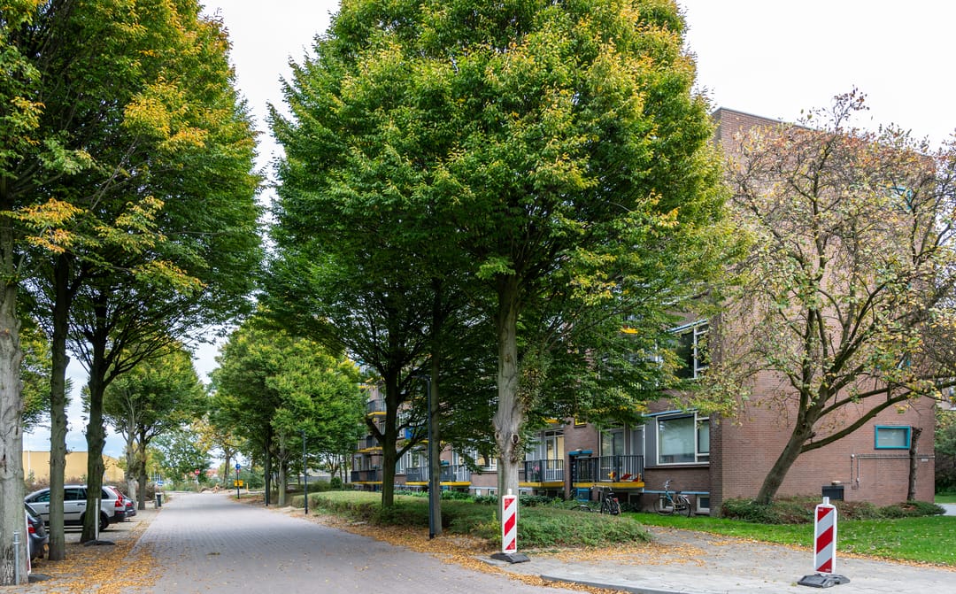 Foto 28 van Aubadestraat 334