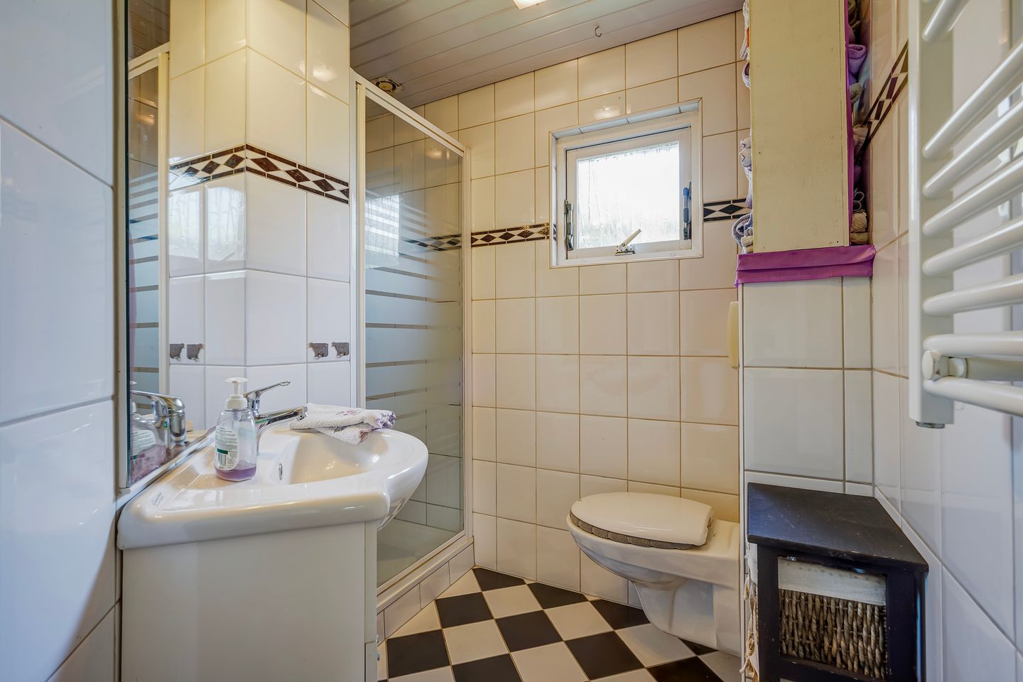 Foto 34 van Wilnisse Zuwe 58-AR18