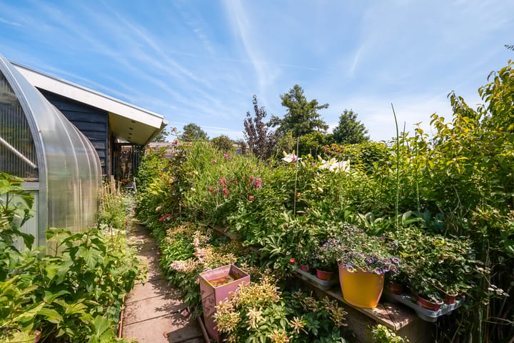 Foto 40 van Wilnisse Zuwe 58-AR18