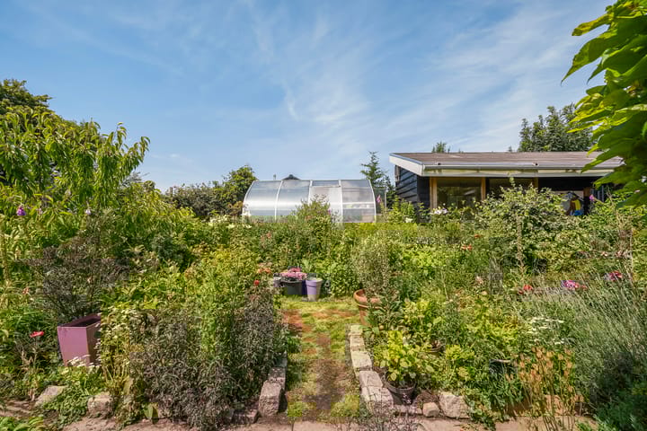 Foto 44 van Wilnisse Zuwe 58-AR18