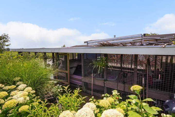 Foto 51 van Wilnisse Zuwe 58-AR18