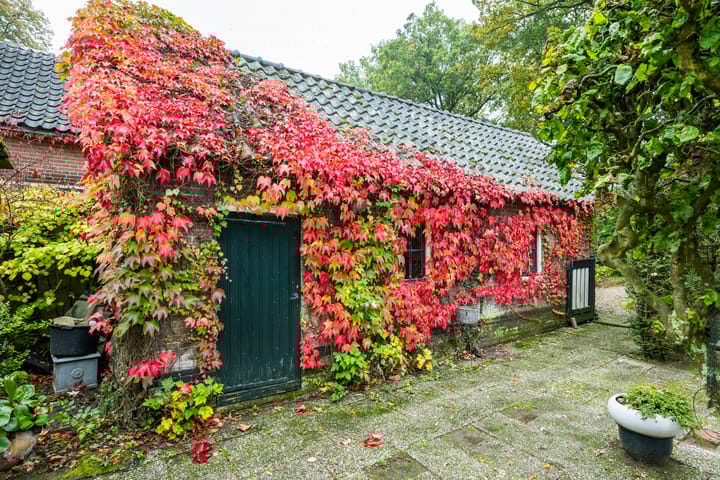 Foto 5 van Rijksweg 73