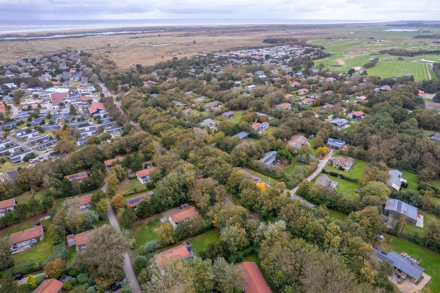 Foto 50 van De Blieke 51