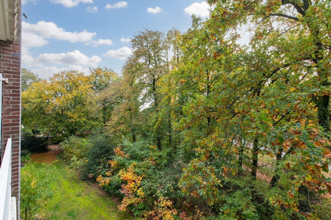 Foto 26 van Gabriëlstraat 59-3