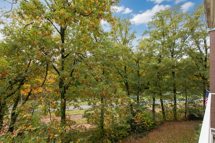 Foto 27 van Gabriëlstraat 59-3