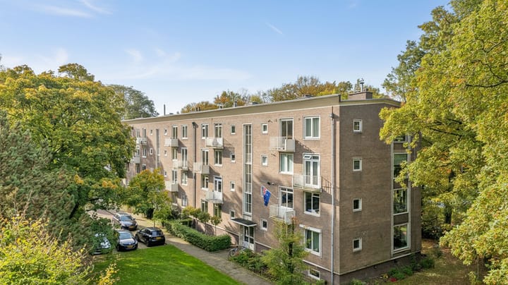 Foto 44 van Gabriëlstraat 59-3