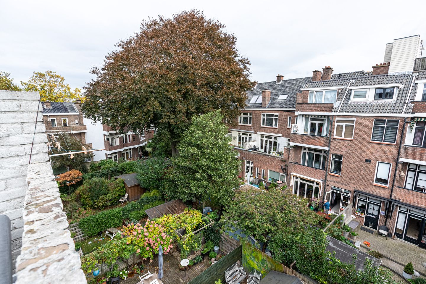 Foto 44 van Lijsterbeslaan 117