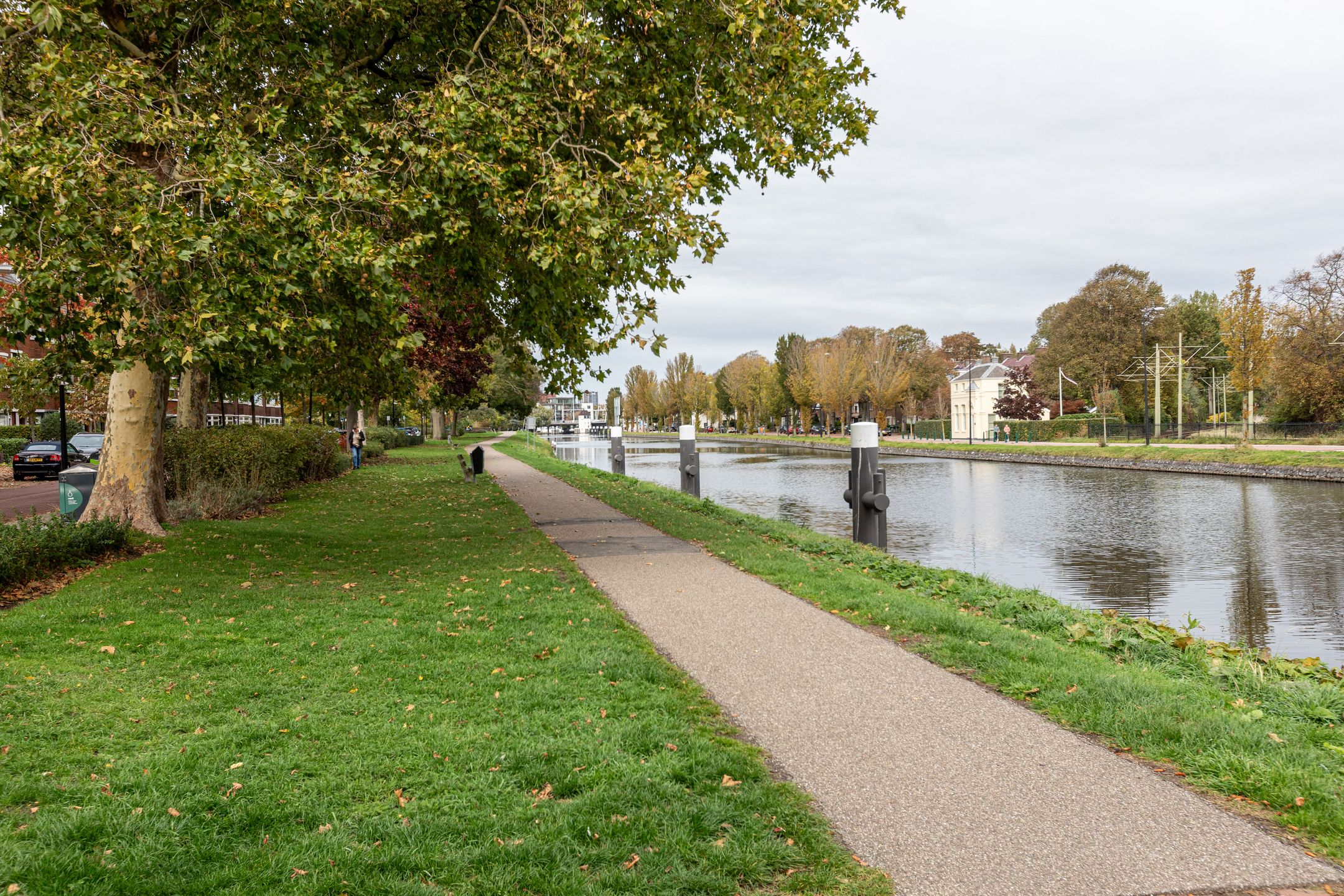 Foto 51 van Lijsterbeslaan 117