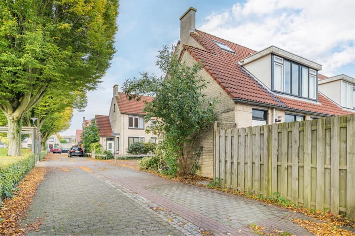 Foto 2 van Zwanebloem 2