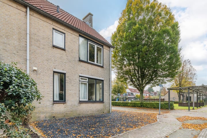 Foto 3 van Zwanebloem 2