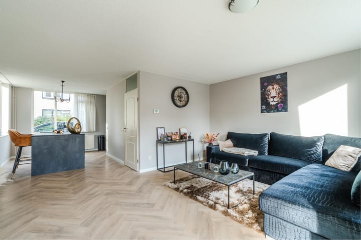 Foto 6 van Zwanebloem 2