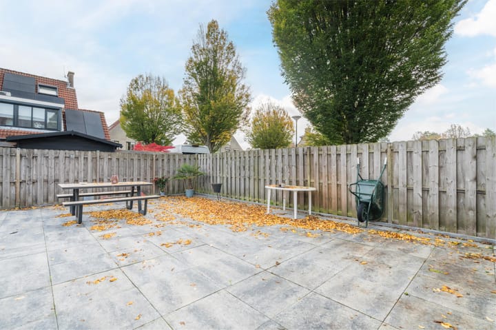 Foto 35 van Zwanebloem 2