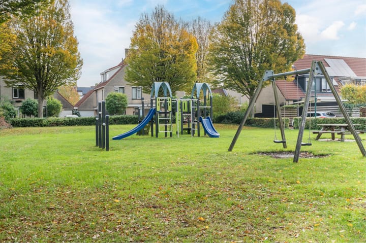 Foto 39 van Zwanebloem 2