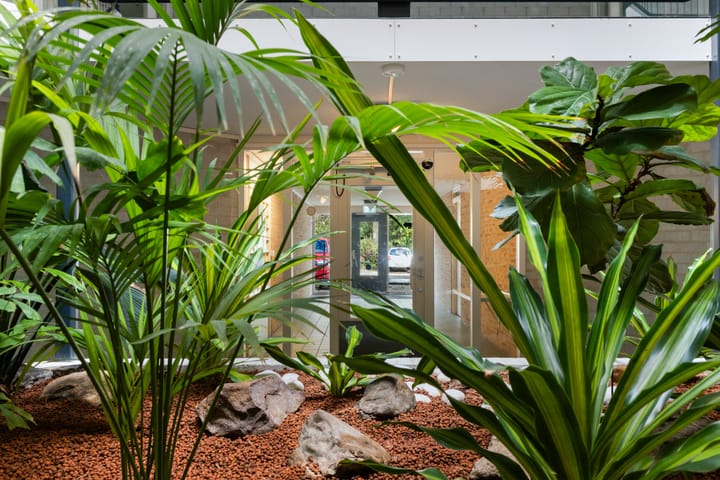 Photo 24 of Meent 20