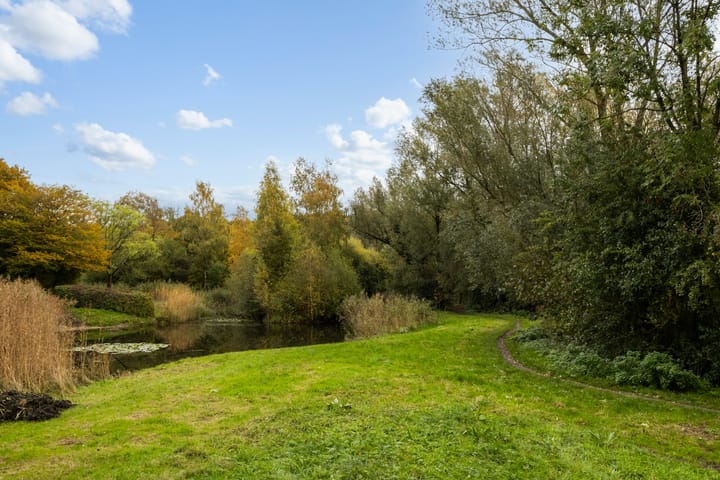 Photo 28 of Meent 20