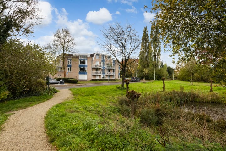 Photo 29 of Meent 20