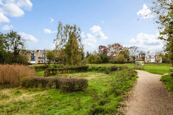 Photo 32 of Meent 20