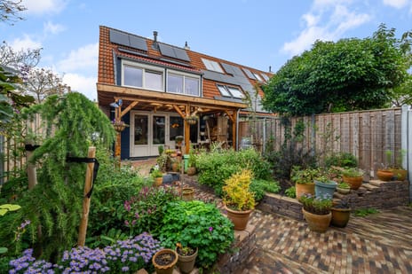 undefined main image