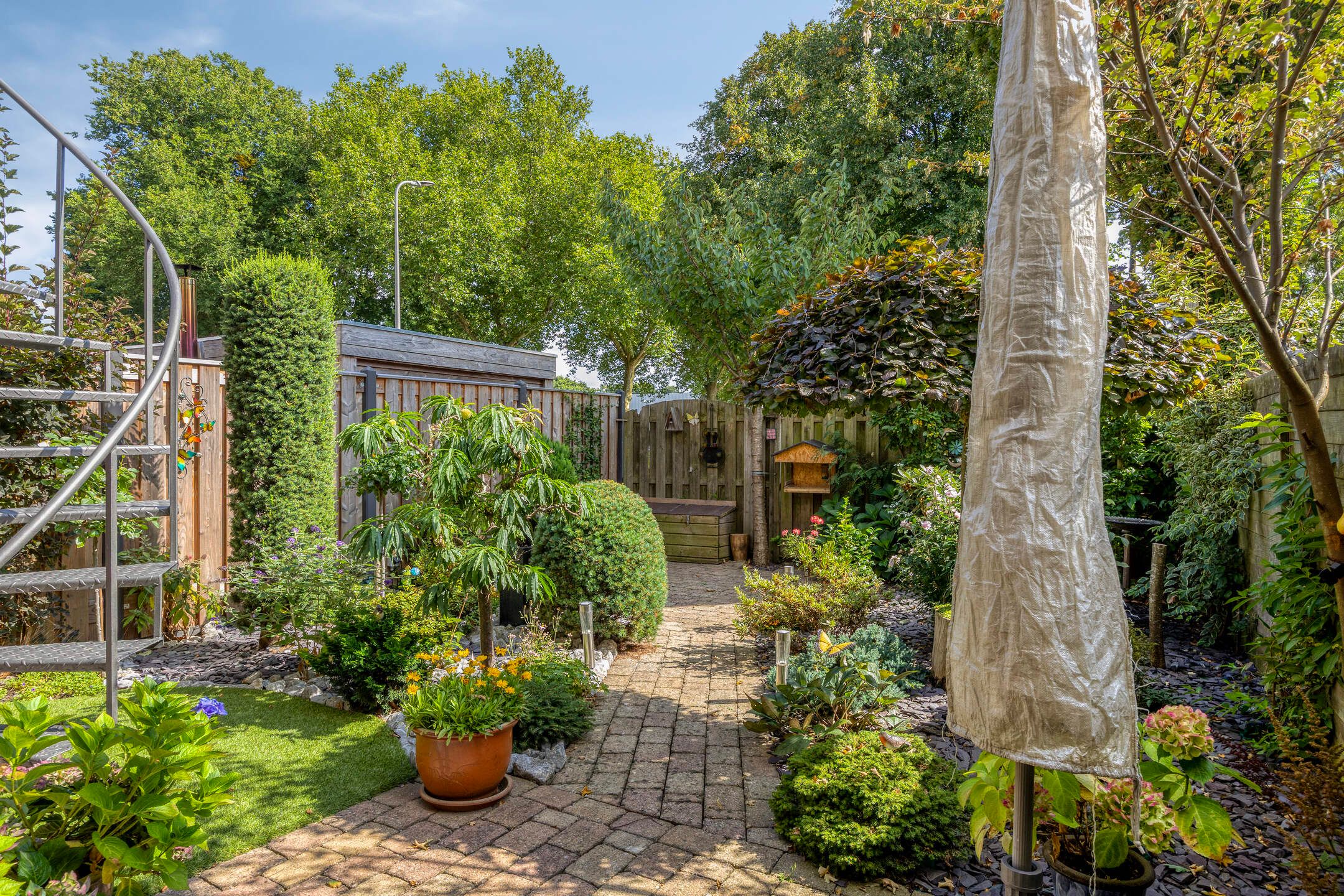 Foto 3 van Lisdodde 22