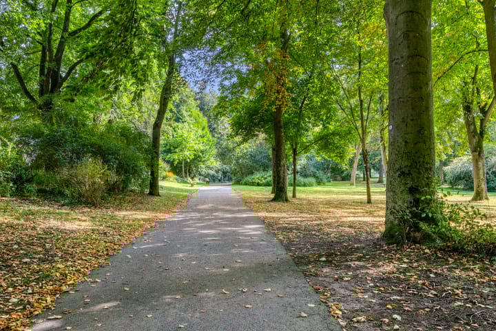 Photo 43 of Lisdodde 22