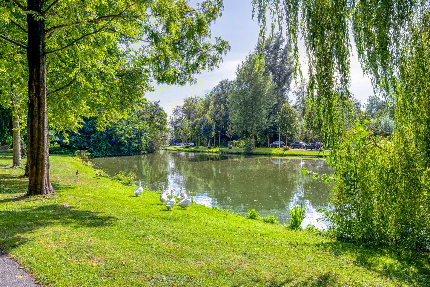 Foto 44 van Lisdodde 22