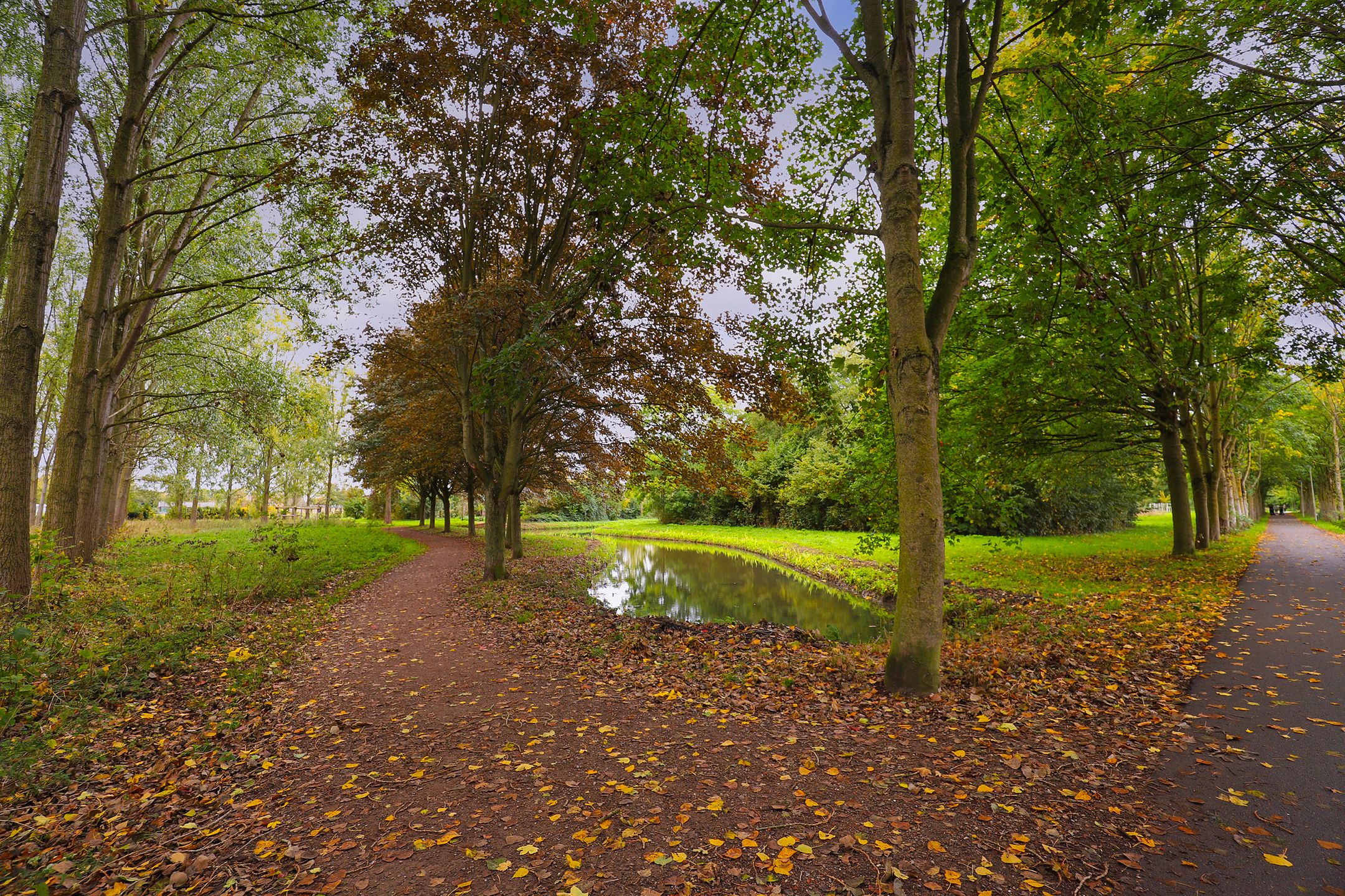 Foto 48 van Zuringveld 10