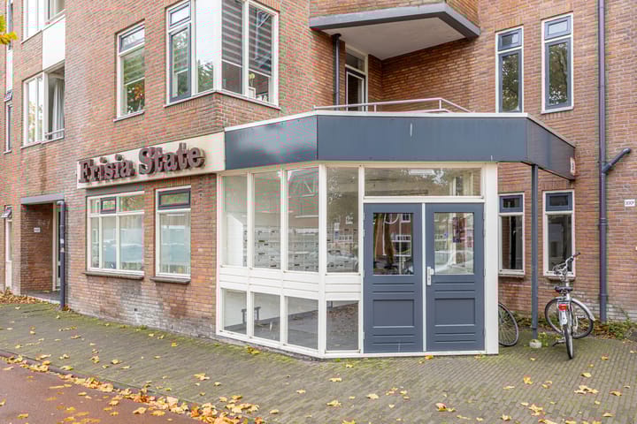 Foto 27 van Zuidvliet 378