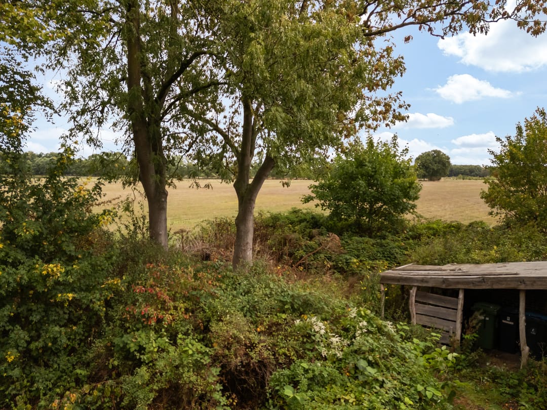 Foto 46 van Valkenheide 39