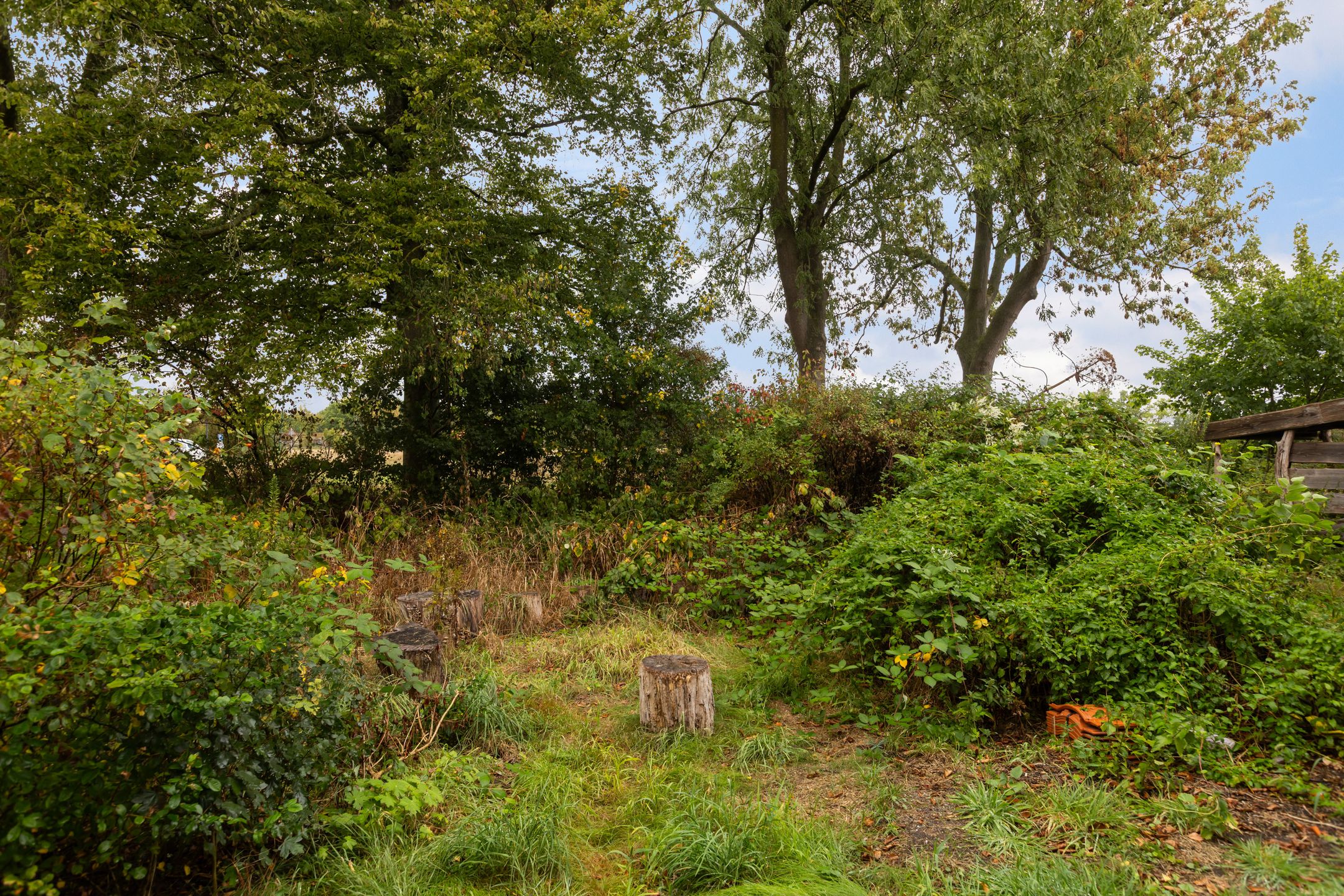 Foto 63 van Valkenheide 39