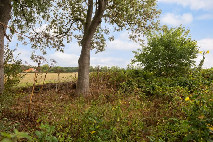 Foto 64 van Valkenheide 39