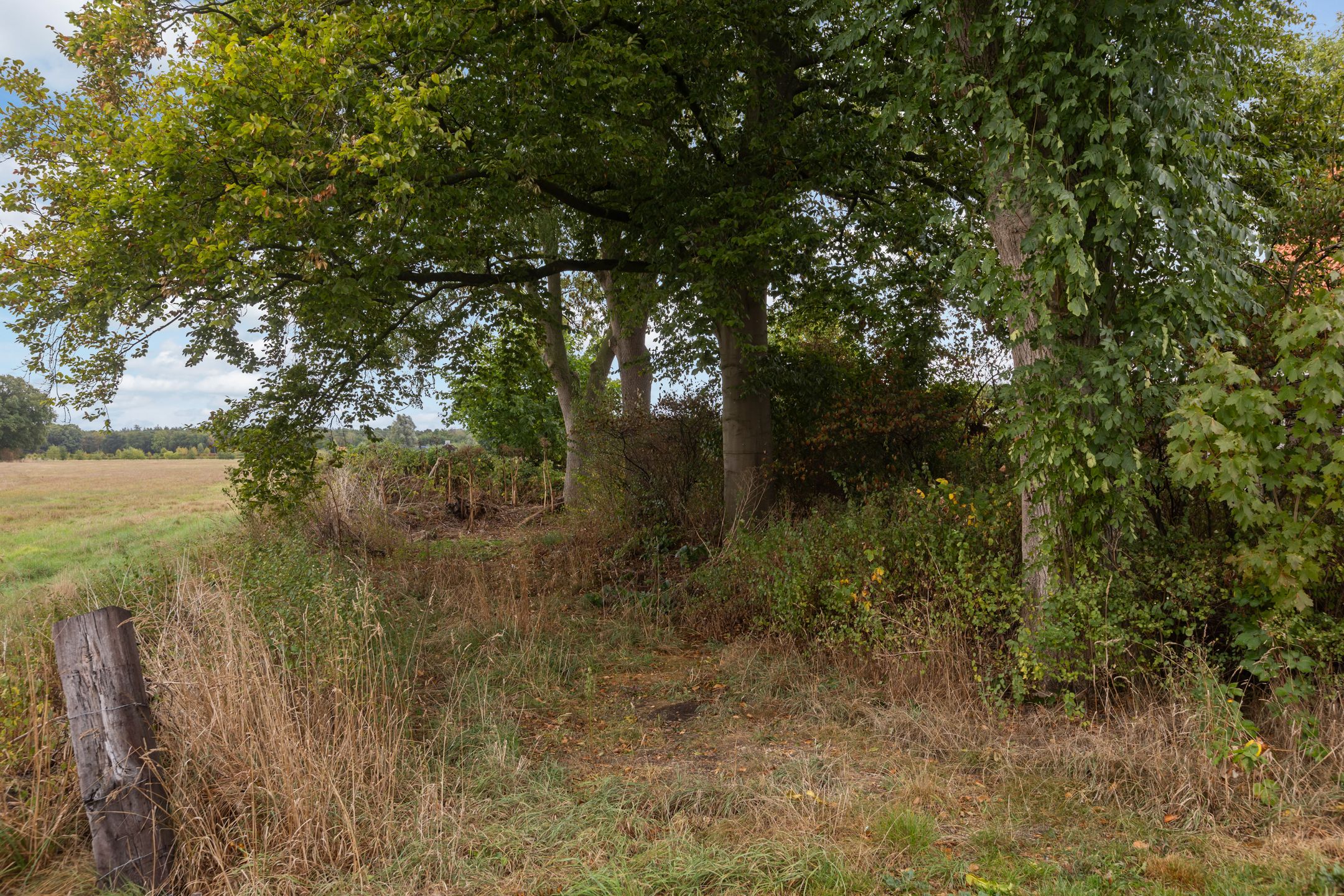 Foto 66 van Valkenheide 39