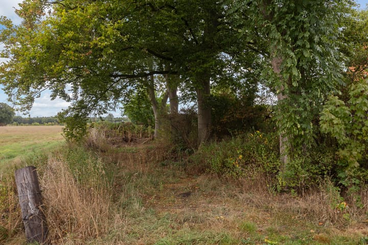 Foto 66 van Valkenheide 39