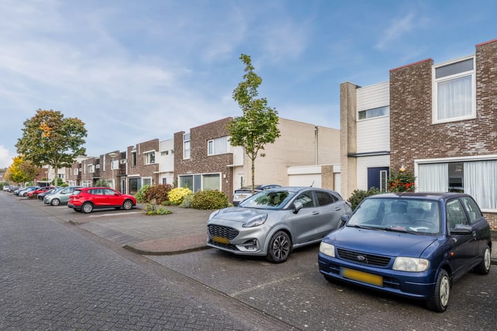 Foto 28 van Heideblauwtje 8