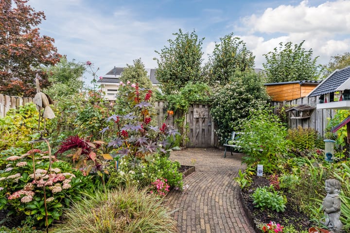 Foto 24 van Heideblauwtje 8